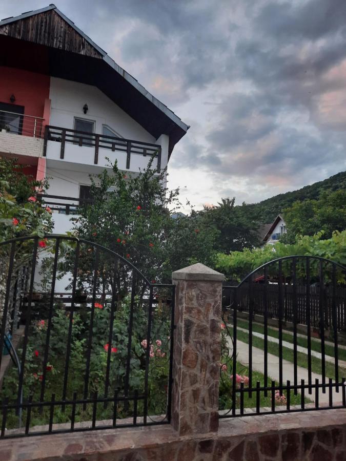 Casa Lica Lägenhet Caciulata Exteriör bild